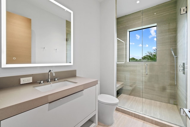 bathroom with vanity, toilet, and walk in shower