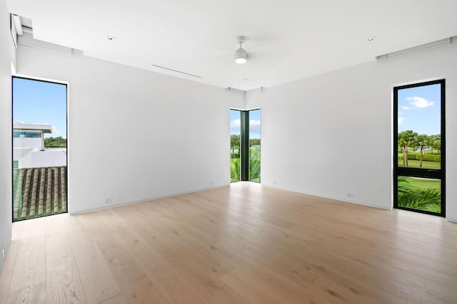 empty room featuring ceiling fan and light hardwood / wood-style flooring