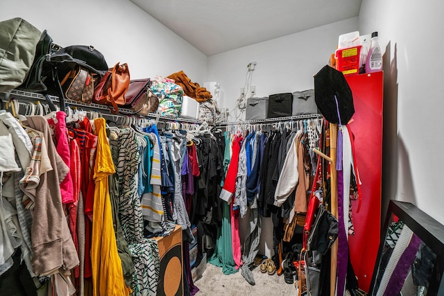 walk in closet with carpet floors