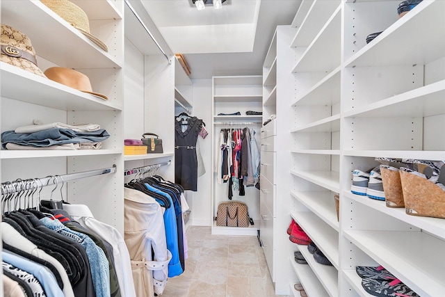 view of spacious closet