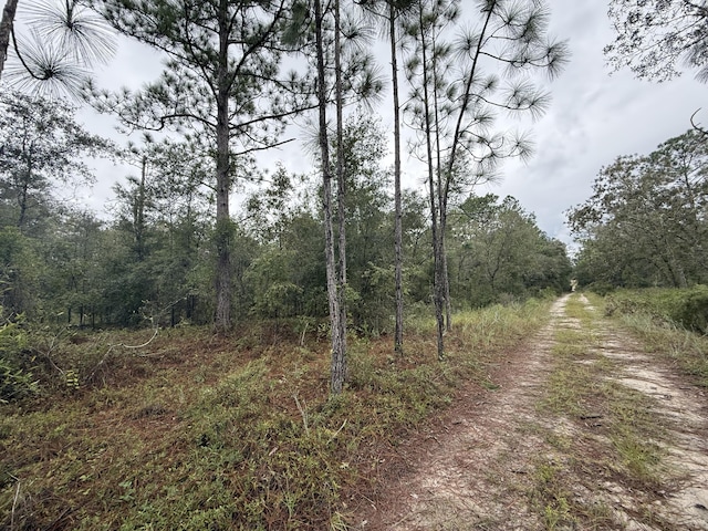 0 NE 83rd Ln, Bronson FL, 32621 land for sale