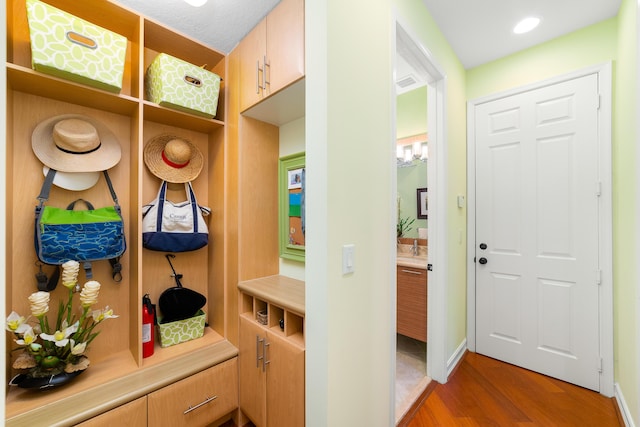 mudroom with hardwood / wood-style flooring