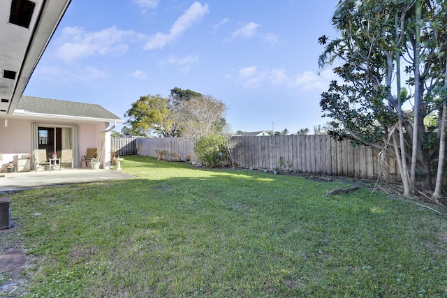 view of yard featuring a patio area