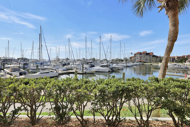 view of water feature with a dock