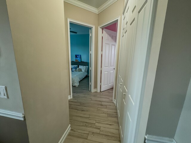 bedroom with ceiling fan, light hardwood / wood-style floors, and ornamental molding