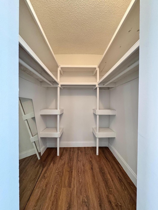 spacious closet featuring dark hardwood / wood-style flooring