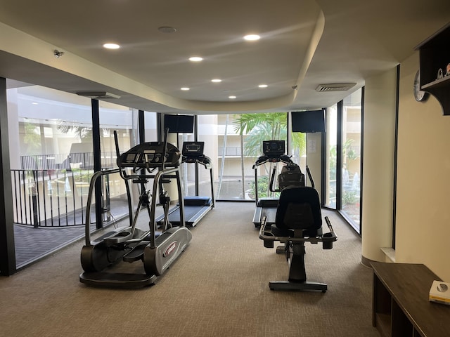 workout area with floor to ceiling windows and carpet flooring