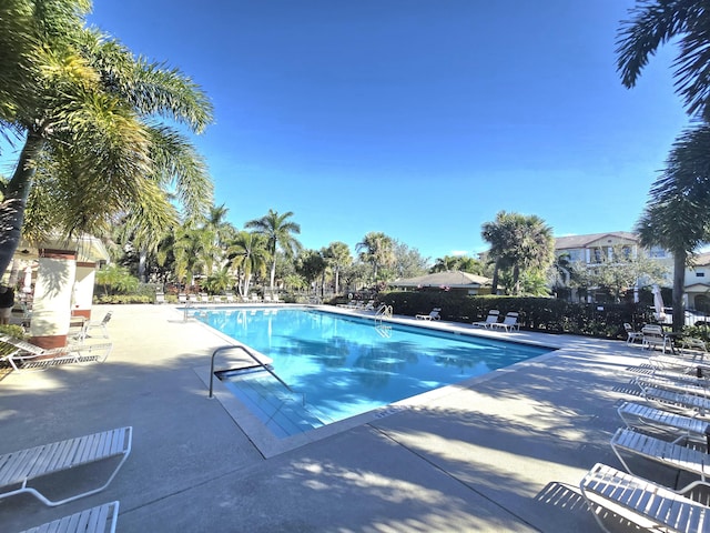 view of pool featuring a patio