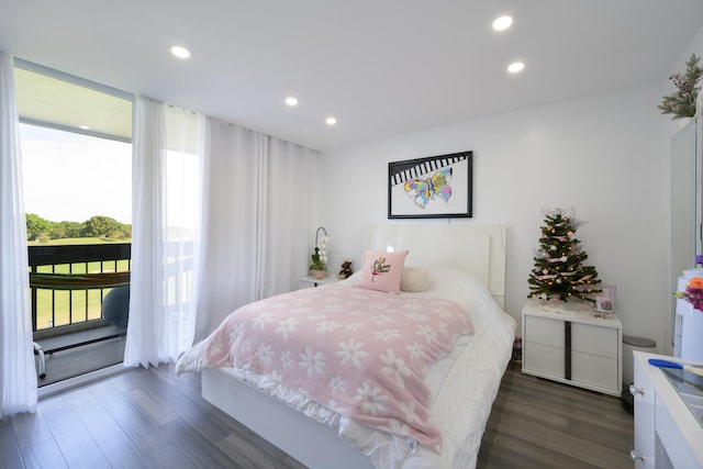 bedroom featuring dark hardwood / wood-style floors