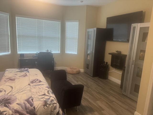 bedroom with wood-type flooring