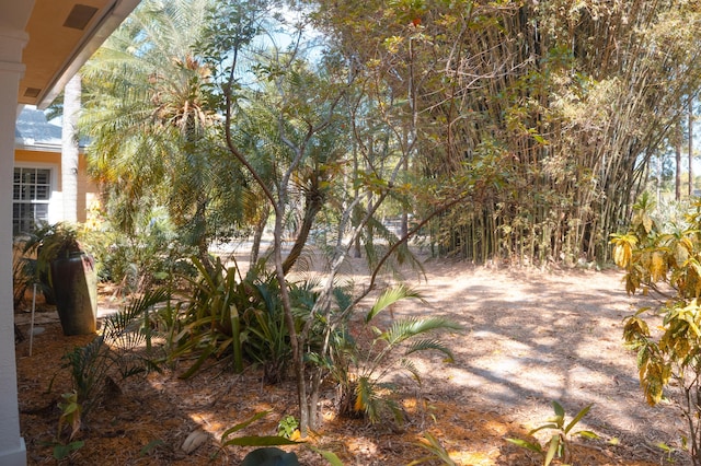 12858 153rd Ct N, Jupiter, FL 33478 - view of yard