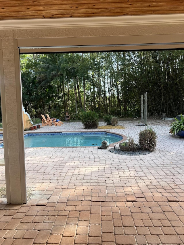 view of pool with a patio