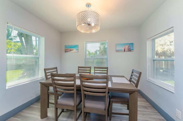 dining space featuring light hardwood / wood-style flooring and plenty of natural light