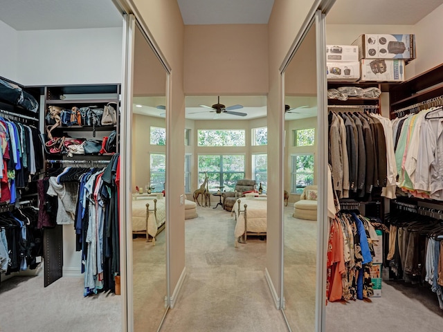 walk in closet featuring ceiling fan and light colored carpet