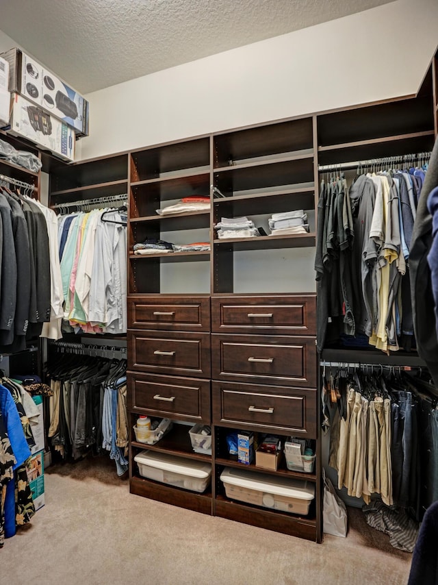 spacious closet featuring light carpet