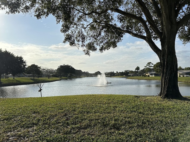 property view of water