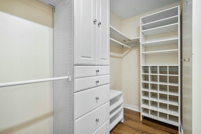 spacious closet featuring dark wood-type flooring