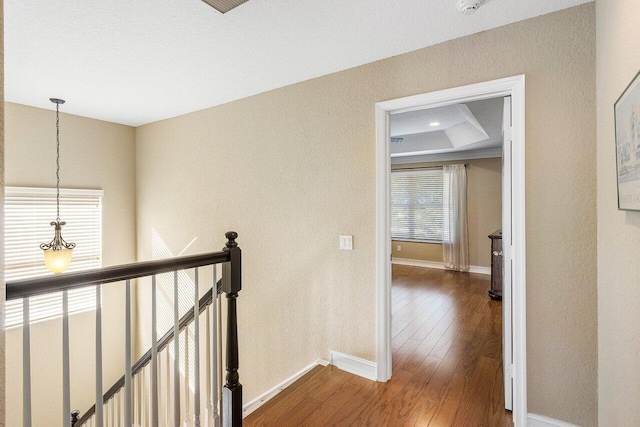 hallway with a raised ceiling and dark wood-type flooring