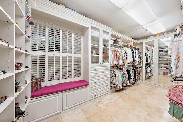 view of walk in closet