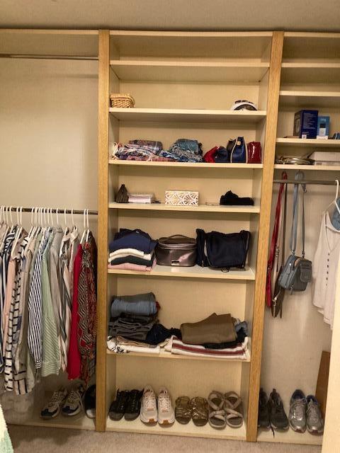 view of closet