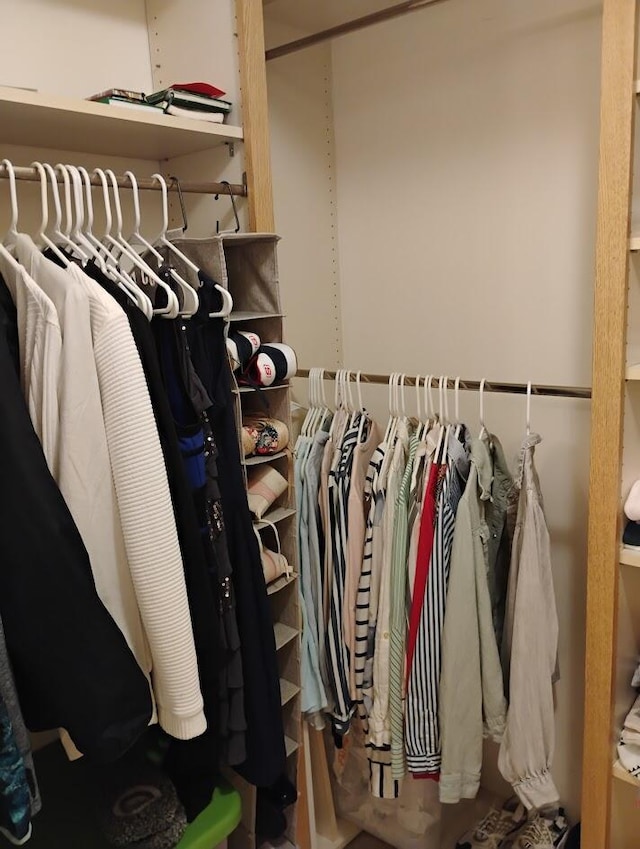 view of walk in closet