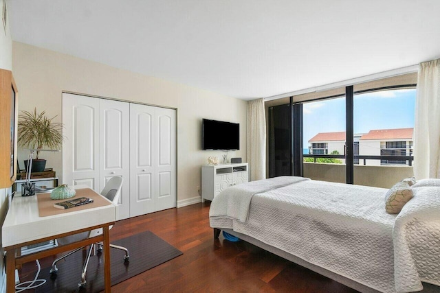 bedroom featuring expansive windows, a closet, and dark hardwood / wood-style floors