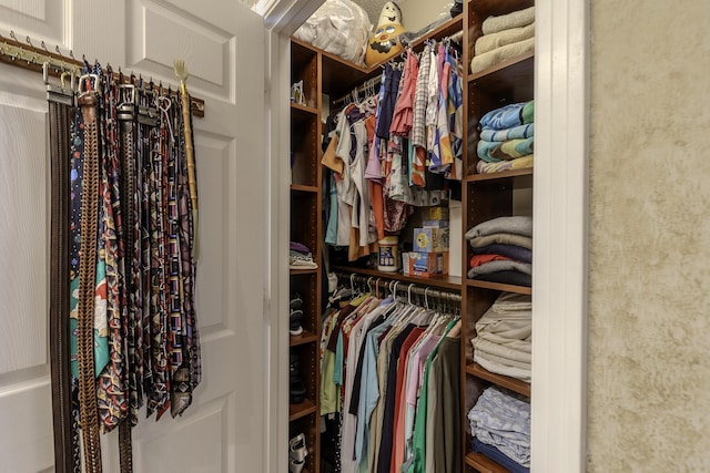 view of walk in closet