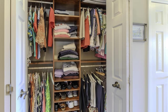 view of closet