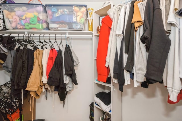 view of spacious closet