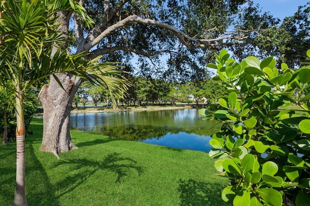 property view of water