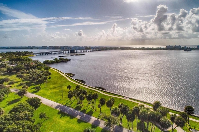 bird's eye view with a water view