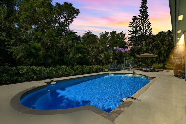 pool at dusk featuring a patio area