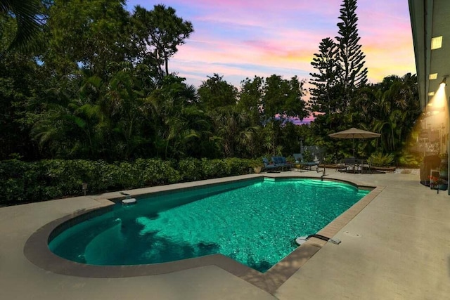 pool at dusk featuring a patio