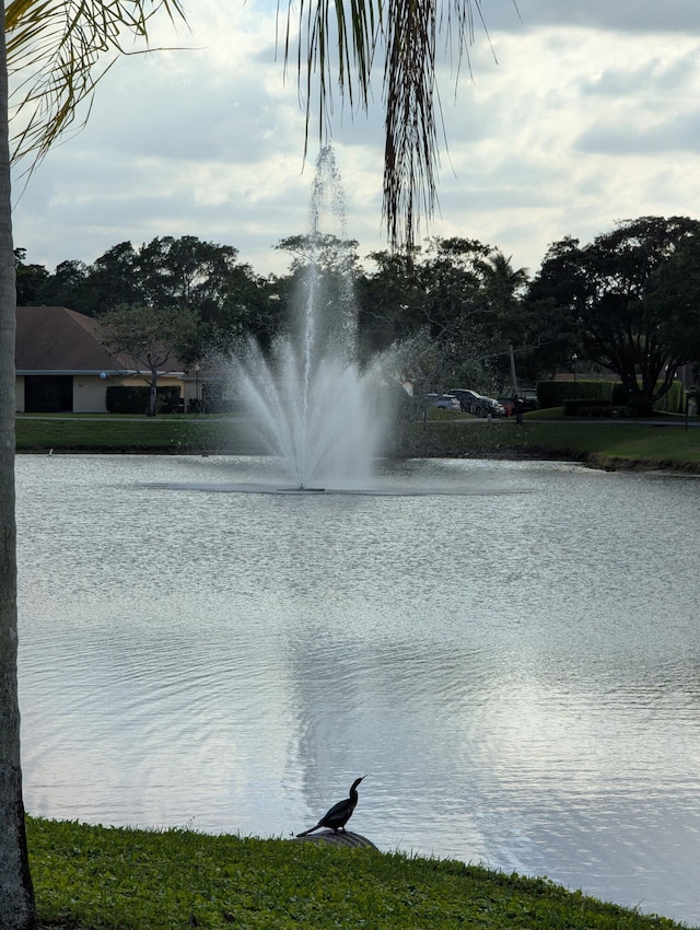 view of water feature