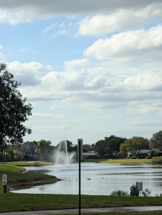 property view of water