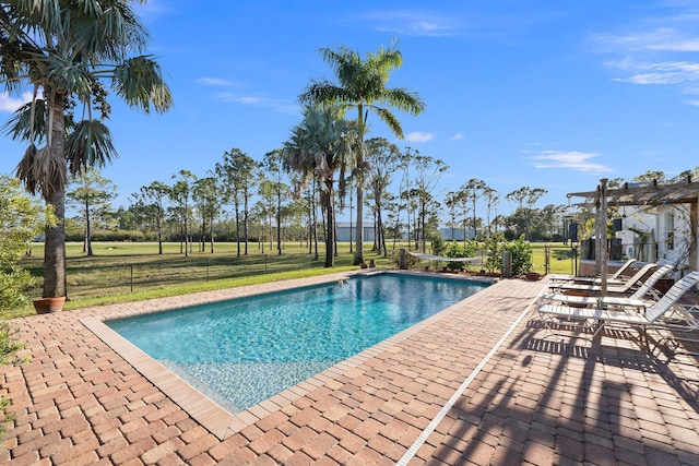 view of pool featuring a patio