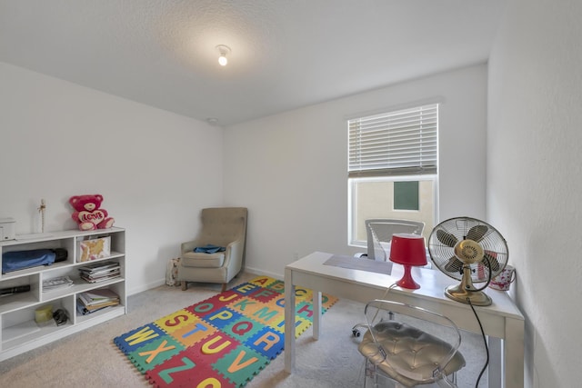 home office with light carpet