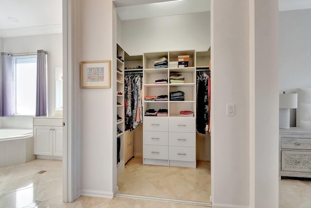 view of closet