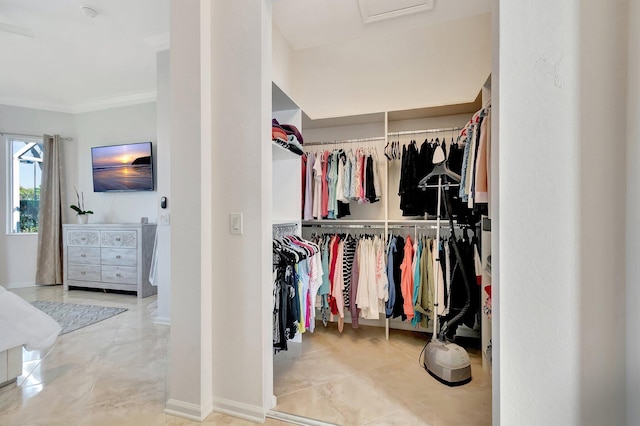 view of spacious closet