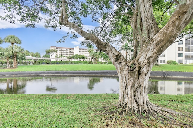 view of water feature