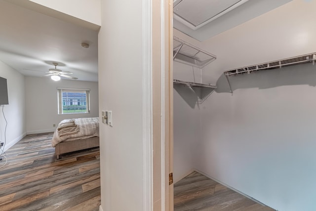 walk in closet with ceiling fan and dark wood-type flooring