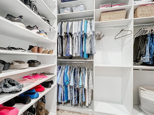 view of walk in closet