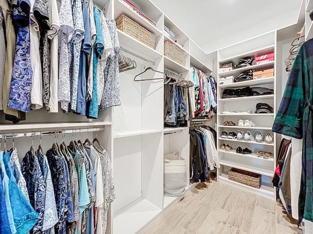 view of walk in closet