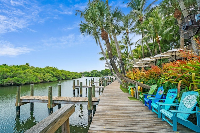 dock area with a water view