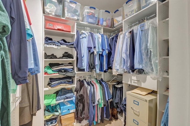 view of spacious closet