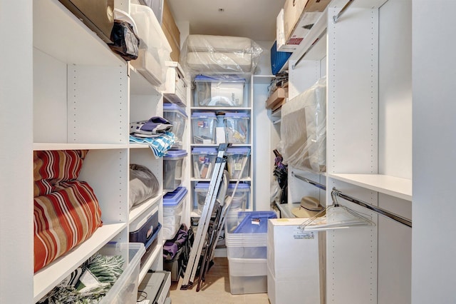 view of spacious closet