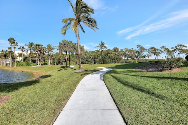 view of property's community with a yard