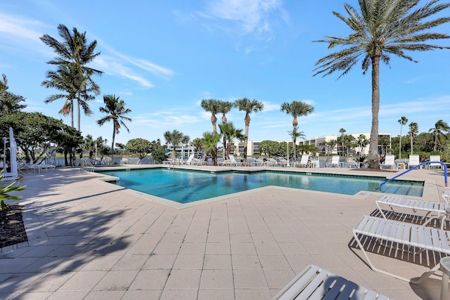 view of swimming pool with a patio