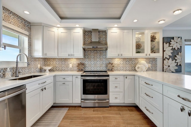 kitchen with wall chimney range hood, a tray ceiling, appliances with stainless steel finishes, and a sink