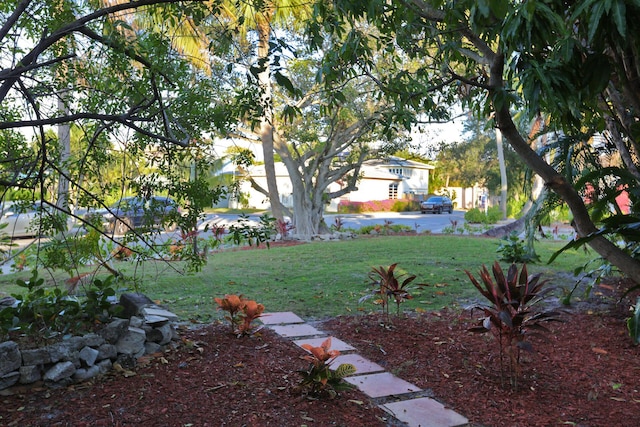 view of yard